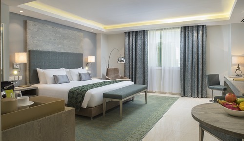 Executive Suite, 1 King Bed