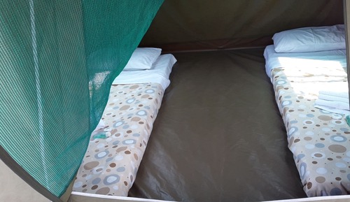 Basic Tent (No beds in tent. Mattress only)