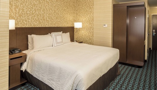 Suite, 1 King Bed with Sofa bed