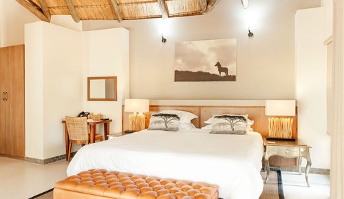 Luxury Room