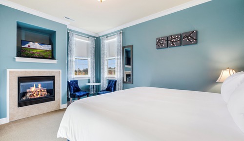 Romantic Room, 1 King Bed, Fireplace, Vineyard View