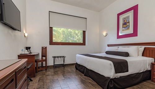 Room, 1 King Bed