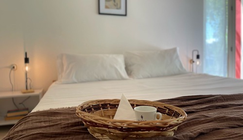 Basic Double or Twin Room