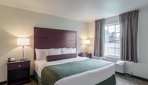 Suite, 1 King Bed with Sofa Bed, Accessible Roll in Shower, Non Smoking