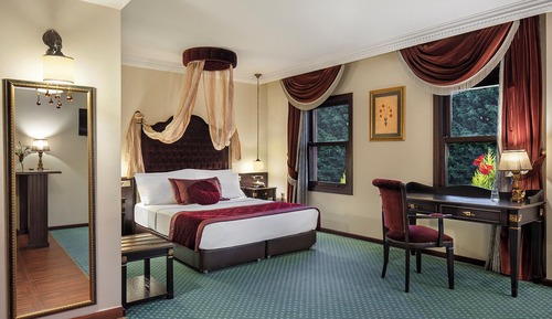 Luxury Room