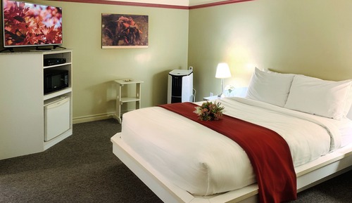 Standard Room, 1 Double Bed