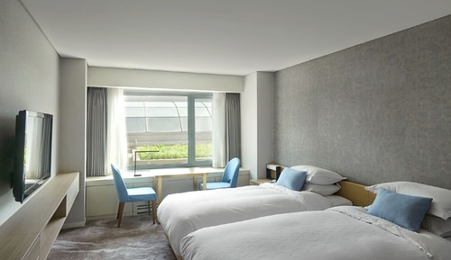 Standard Twin Room with No View