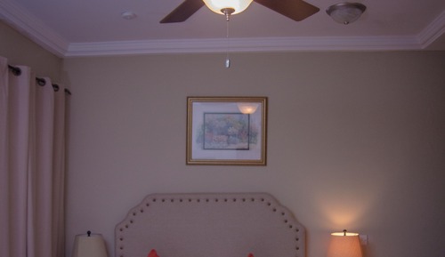 Standard Suite
