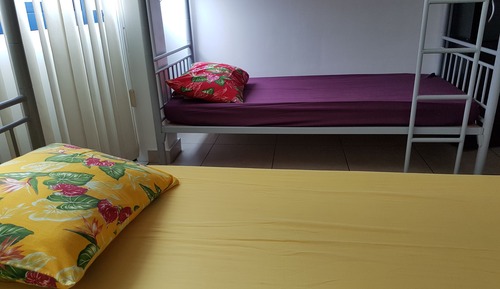 Bed in 12-bed Mixed Dorm