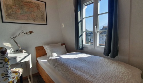 Standard Single Room, Non Smoking, Mountain View