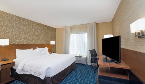Room, 1 King Bed