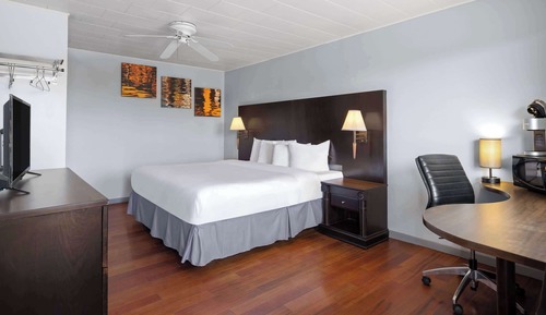Room, 1 King Bed, Non Smoking