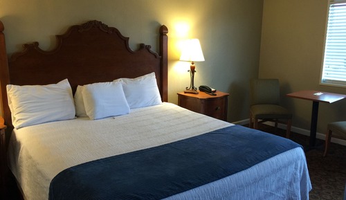 Room, 1 King Bed