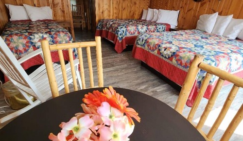 Standard Cabin, Multiple Beds