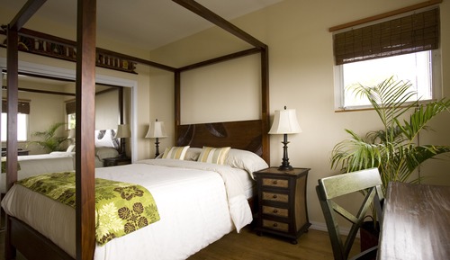 Standard Room, 1 Queen Bed, Ocean View