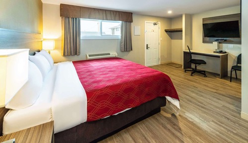 Efficiency, Room, 1 King Bed, Non Smoking