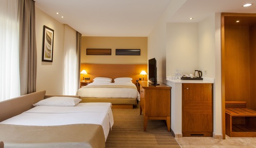 Standard Room, 1 King Bed