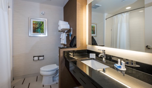 Room, 1 King Bed (Mobility/Hearing Access, Roll-in Shwr)