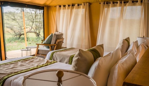Family Tent, Balcony