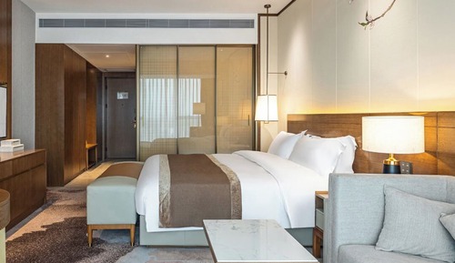 Luxury Single Room