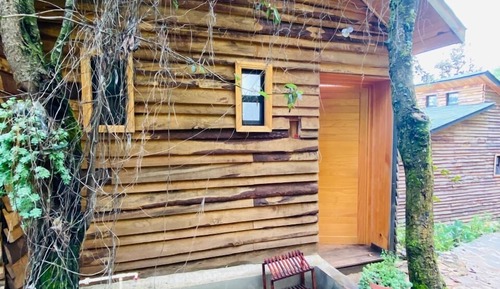 Family Cabin