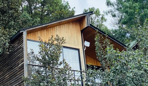 Family Cabin
