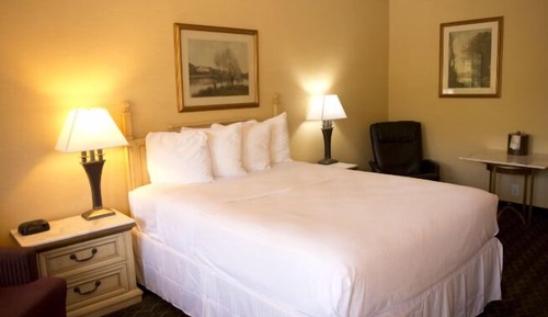 Room, 1 Queen Bed, Non Smoking