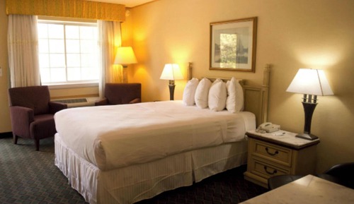 Room, 1 King Bed, Non Smoking