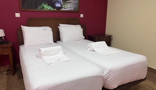 Basic Twin Room