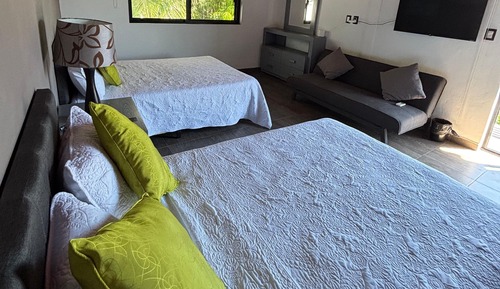 Family Suite, Patio, Garden View