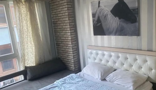 Basic Single Room