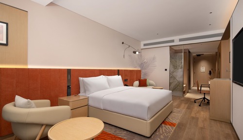 Room, 1 King Bed