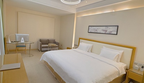 Superior Single Room