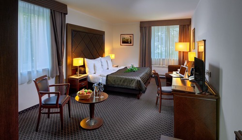 Executive Double or Twin Room