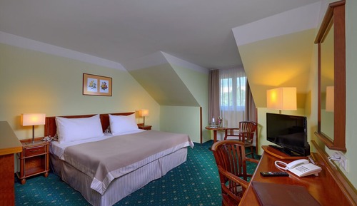 Standard Double or Twin Room