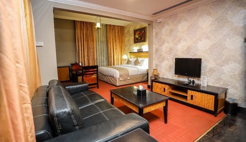 Junior Studio Suite