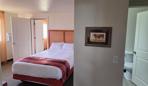 Comfort Single Room