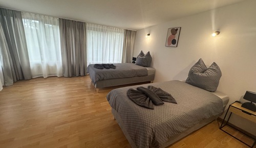 Classic Apartment