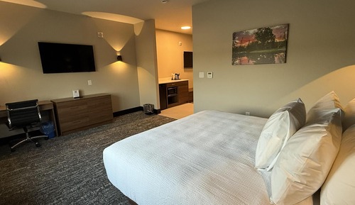 Suite, 1 King Bed, Non Smoking (Shower Only;with Single Sofabed)