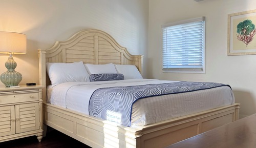 Junior Studio, 1 King Bed, Partial Ocean View