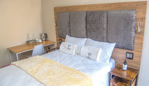 Economy Double Room