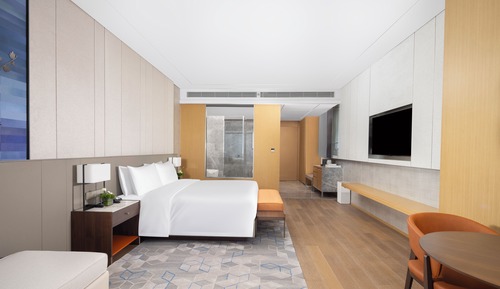 Business Double Room