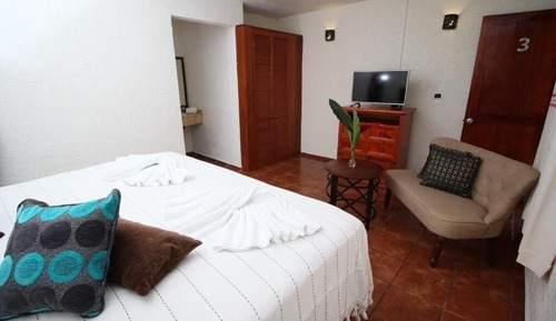 Basic Double Room Single Use, Pool View