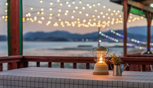Basic Room, 1 Bedroom (Room 102 (Ocean View / Private Barbec)