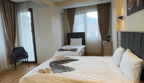 Family Double or Twin Room