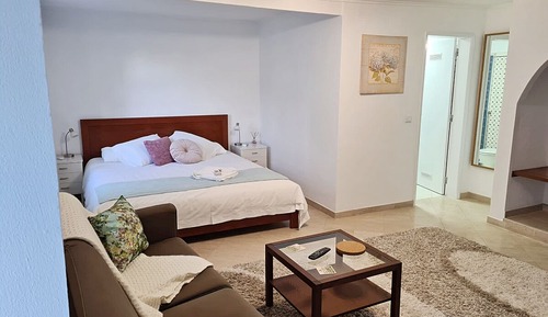 Deluxe Studio Suite, Garden View