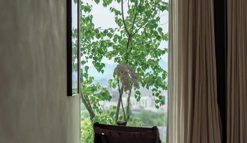 Deluxe House, Mountain View