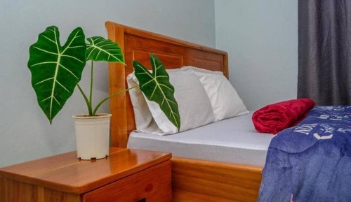 Basic Double or Twin Room