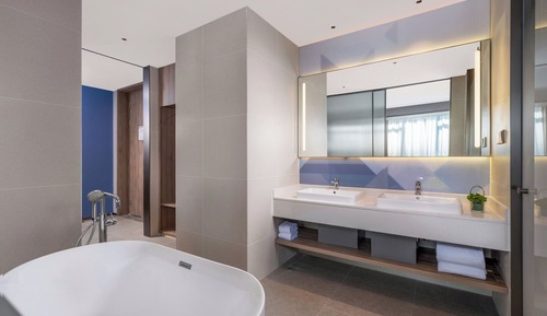 Suite, 1 King Bed, Bathtub
