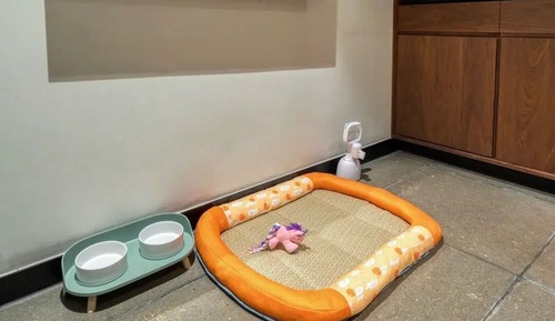 Premier Double Room, Pets Allowed, Courtyard View